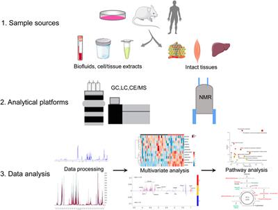 Metabolomics and its Applications in Cancer Cachexia